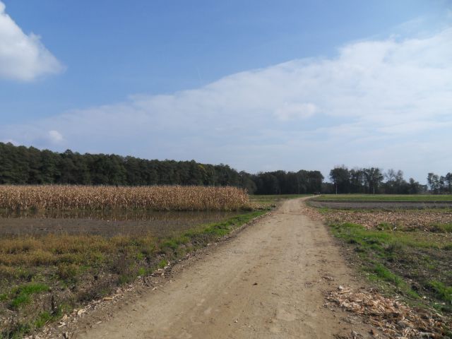 16. 10. 2010 - foto