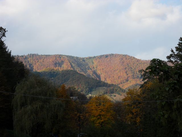 18. - 22. 10. 2010b - foto