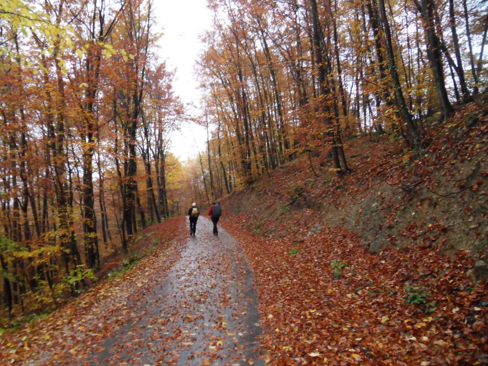 25. 10. 2010 - foto povečava