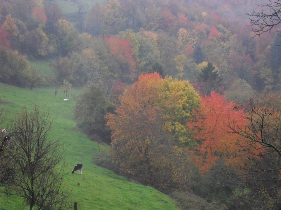 25. 10. 2010 - foto povečava