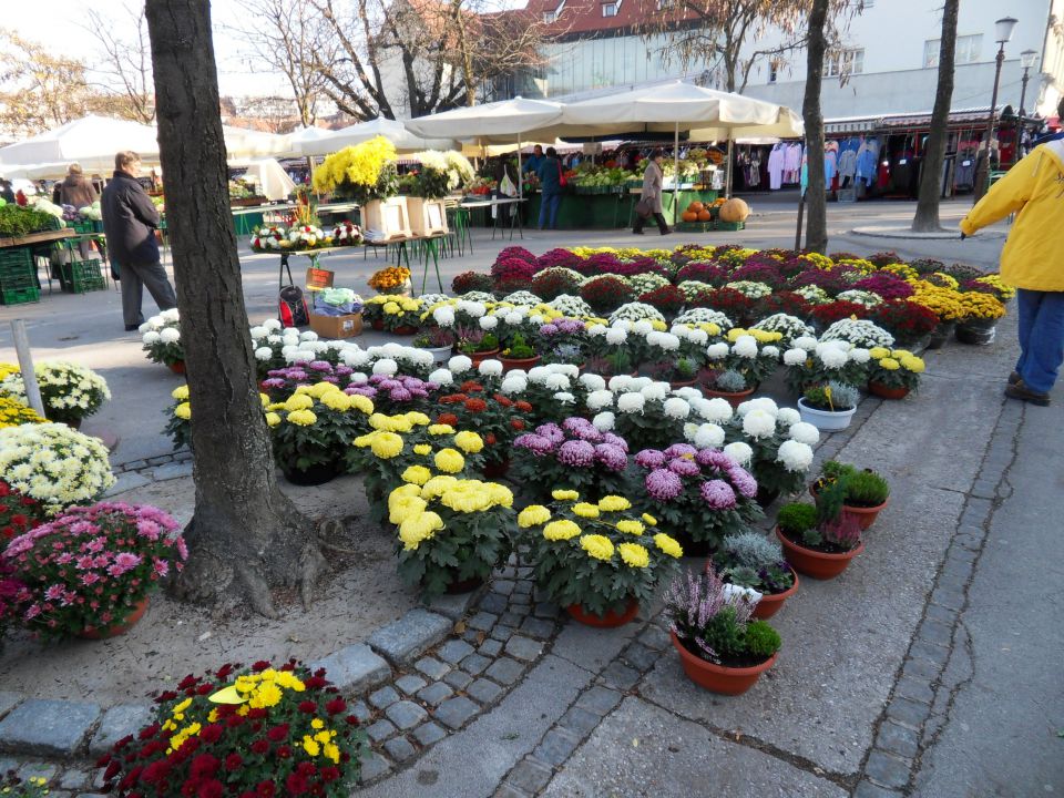 28. 10. 2010 - foto povečava