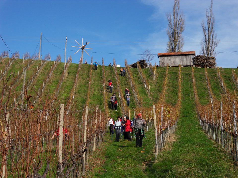 13. 11. 2010 - foto povečava