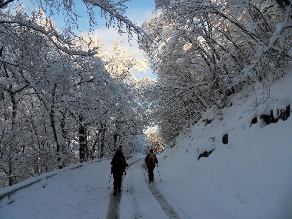 29. 11. 2010 - foto povečava