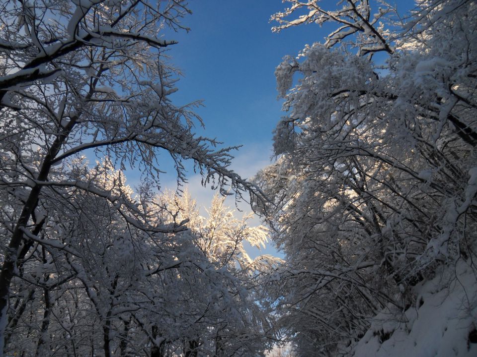 29. 11. 2010 - foto povečava