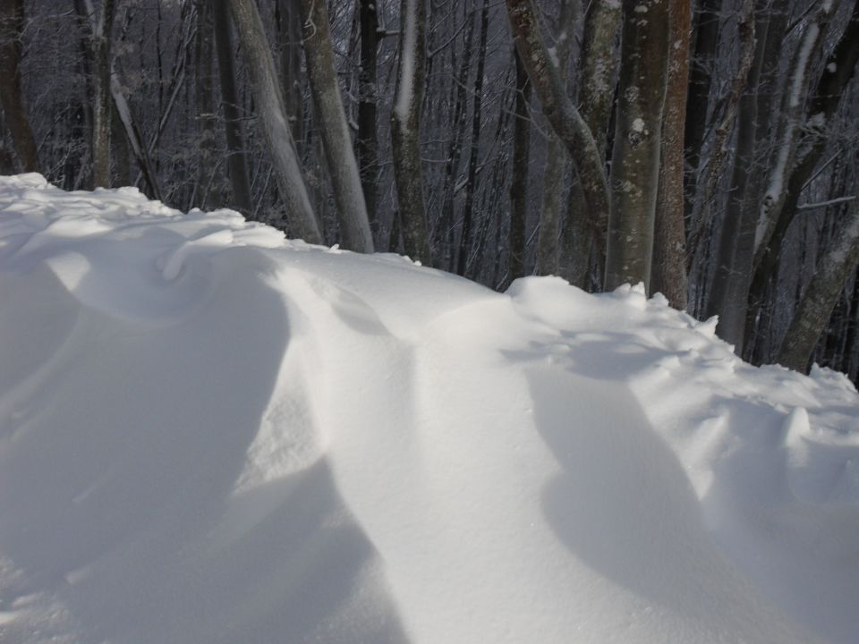 29. 11. 2010 - foto povečava