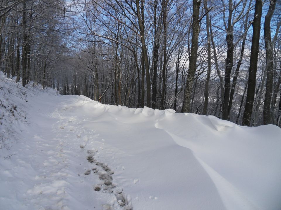 29. 11. 2010 - foto povečava