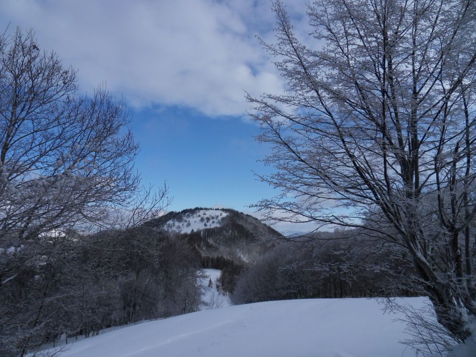 29. 11. 2010 - foto povečava