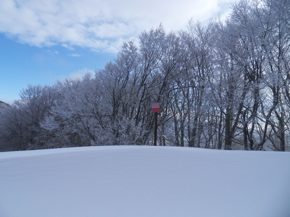 29. 11. 2010 - foto povečava