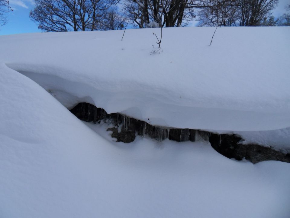 29. 11. 2010 - foto povečava