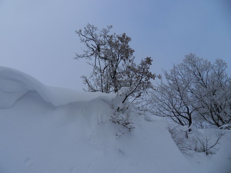 29. 11. 2010 - foto povečava