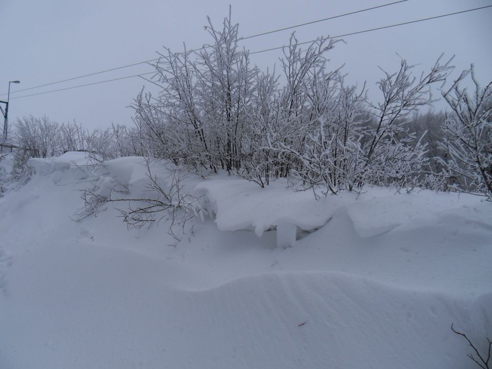 29. 11. 2010 - foto povečava