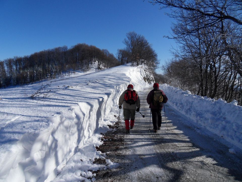 29. 11. 2010 - foto povečava