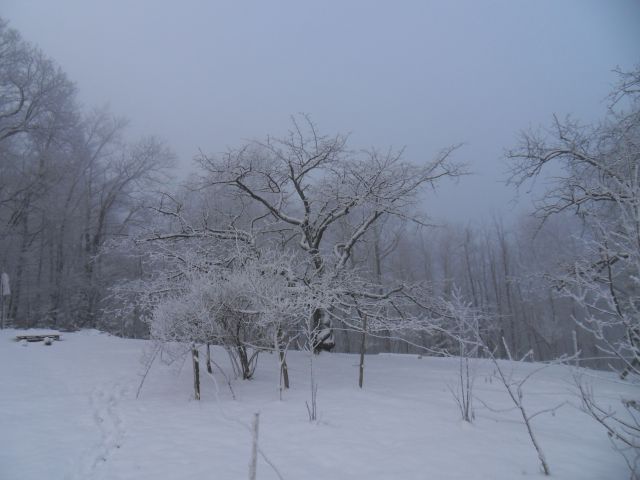 3. 1. 2011 - foto