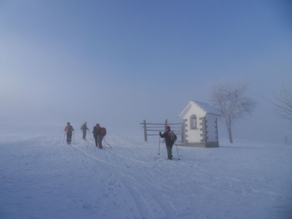 3. 1. 2011 - foto povečava