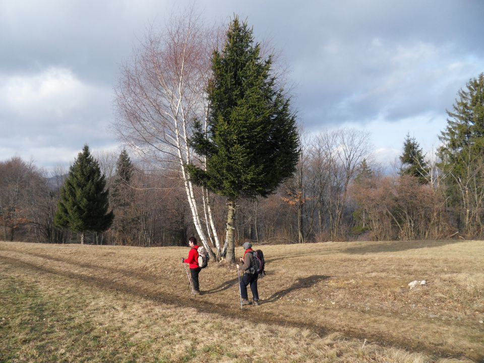 9. 1. 2011 - foto povečava