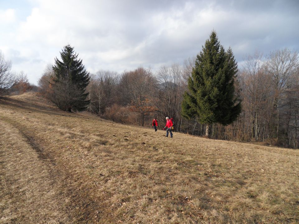 9. 1. 2011 - foto povečava