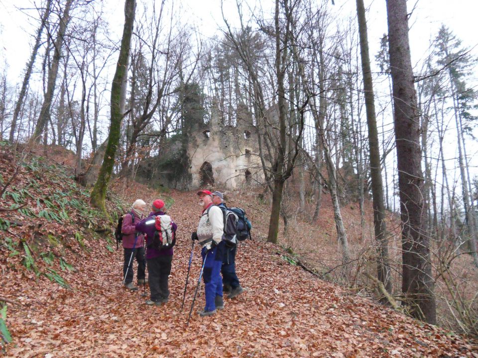 24. 1. 2011 - foto povečava