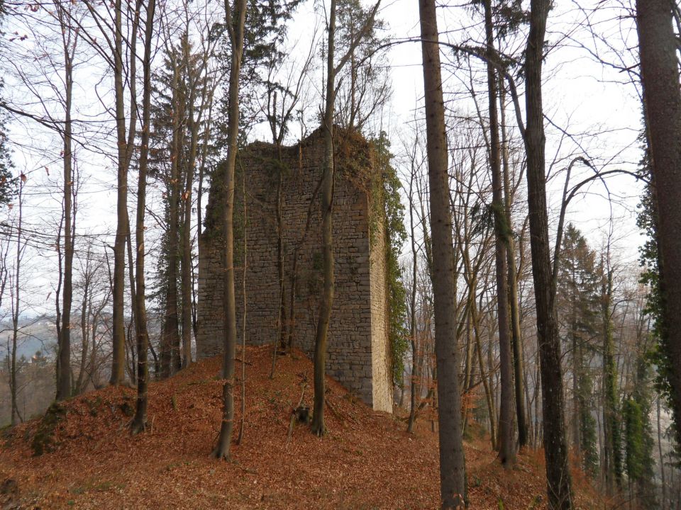 24. 1. 2011 - foto povečava