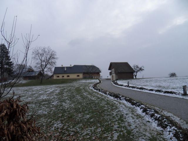 24. 1. 2011 - foto