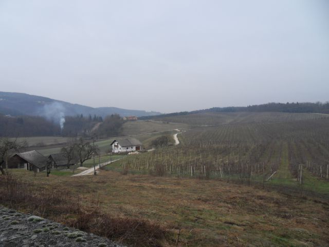 24. 1. 2011 - foto