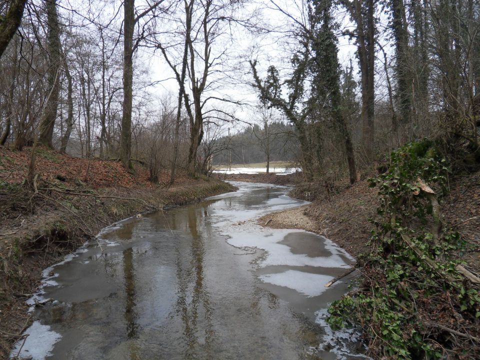 24. 1. 2011 - foto povečava