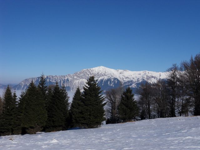 31. 1. 2011 - foto