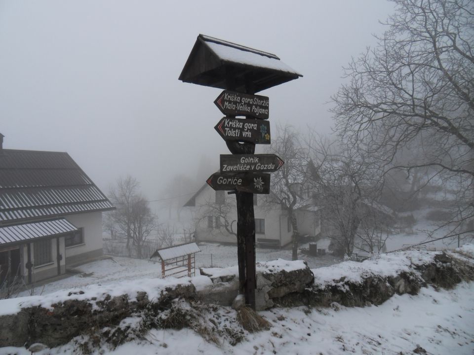 31. 1. 2011 - foto povečava