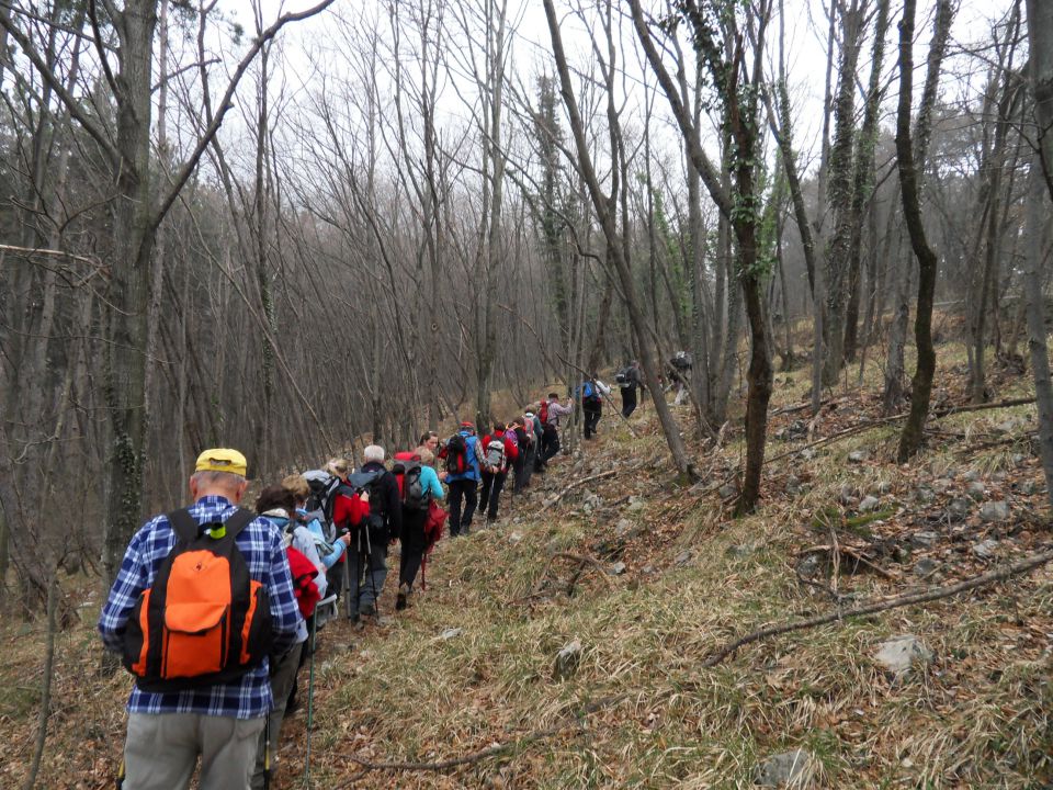 12. 2. 2011 - foto povečava