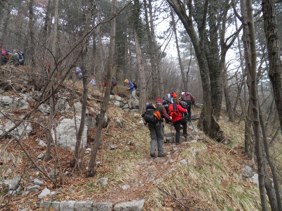 12. 2. 2011 - foto povečava