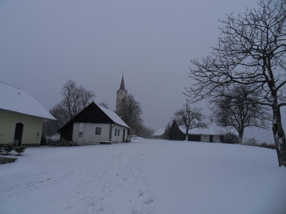 21. 2. 2011 - foto povečava