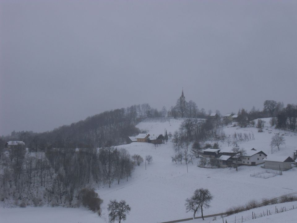 21. 2. 2011 - foto povečava