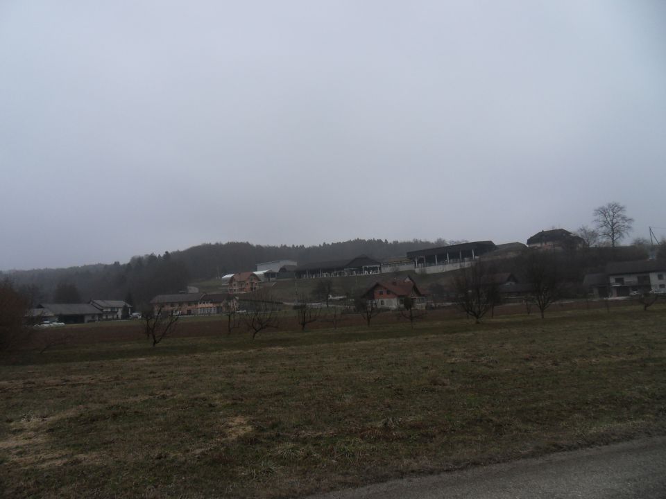 28. 2. 2011 - foto povečava