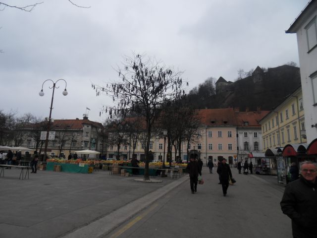 1. 3. 2011 - foto