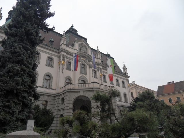 1. 3. 2011 - foto