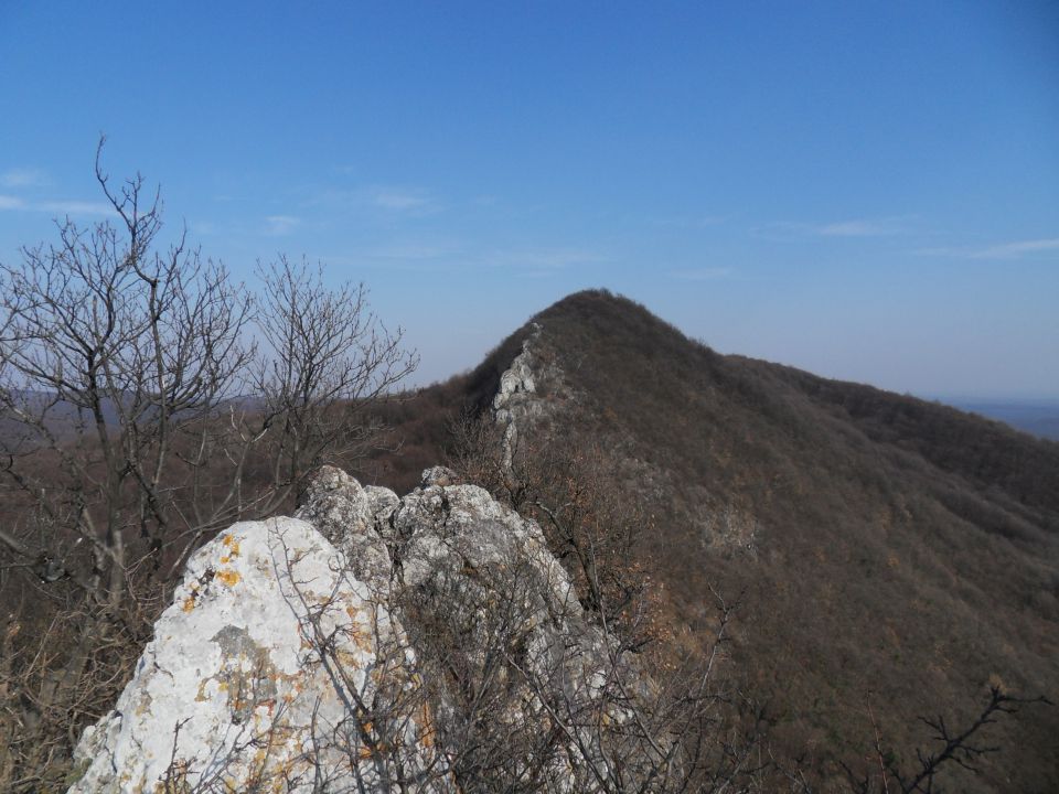 12. 3. 2011 - foto povečava