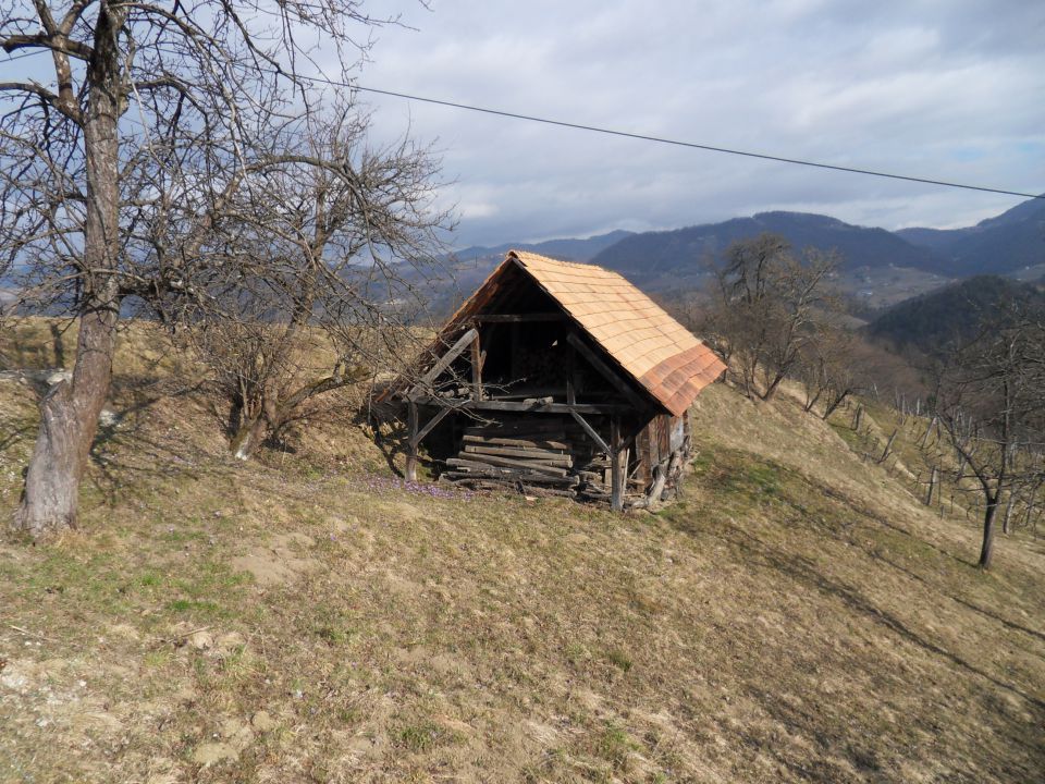 14. 3. 2011 - foto povečava