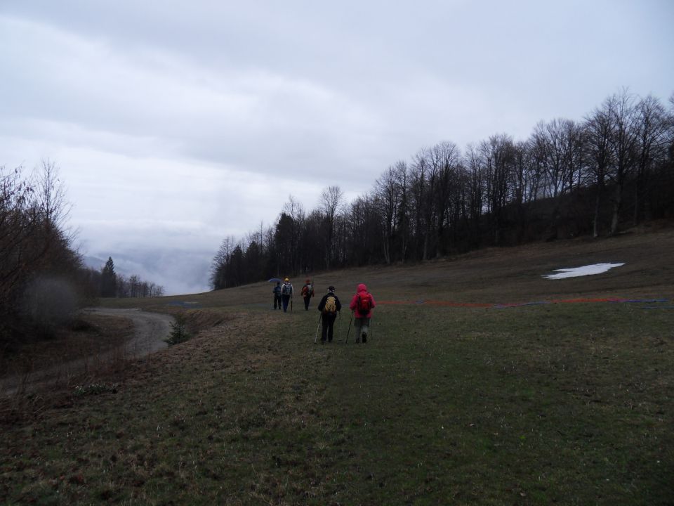 28. 3. 2011 - foto povečava