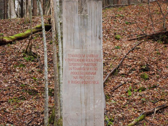 28. 3. 2011 - foto