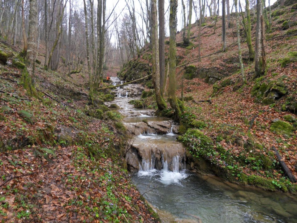 28. 3. 2011 - foto povečava