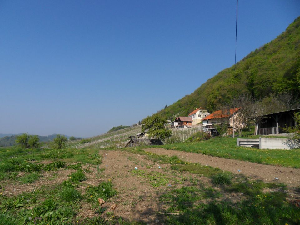 19. 4. 2011 - foto povečava