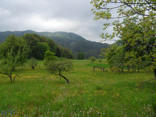 26. 4. 2011 - foto