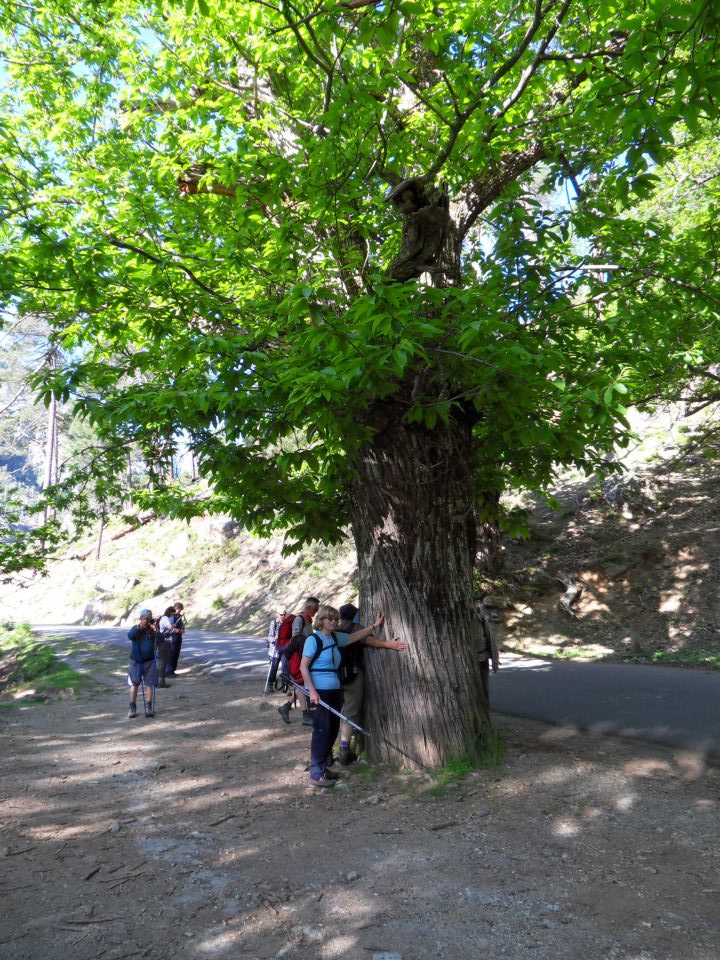 14. 5. 2011 - foto povečava