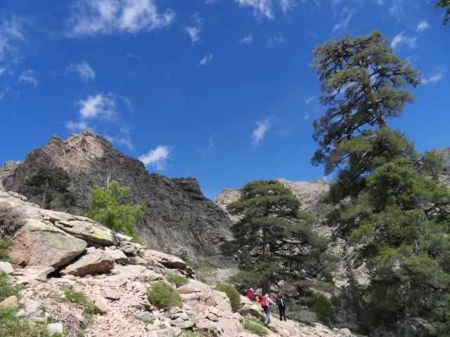 15. 5. 2011 - foto