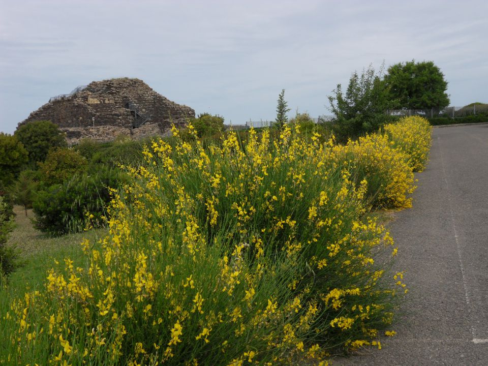 20. 5. 2011 - foto povečava