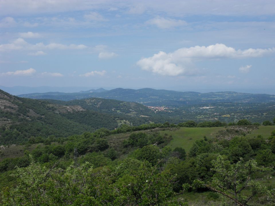 20. 5. 2011 - foto povečava