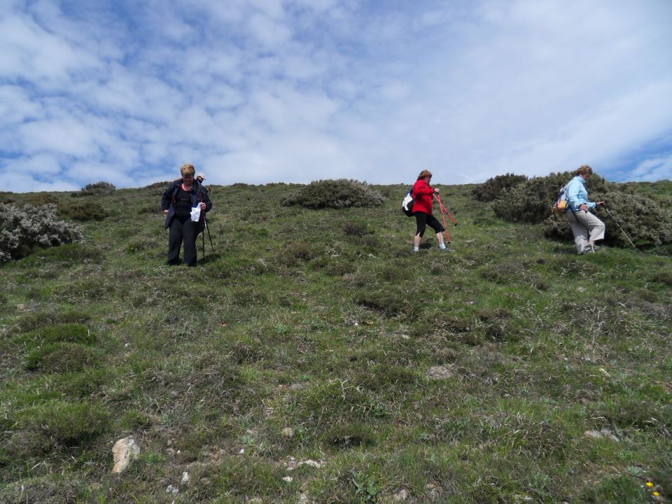 20. 5. 2011 - foto povečava