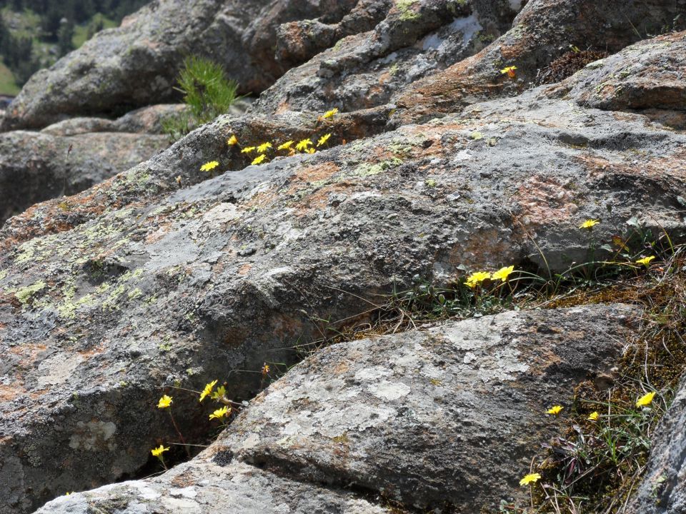 23. 5. 2011 - foto povečava