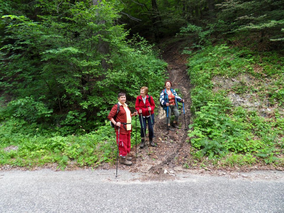 14. 6. 2011 - foto povečava