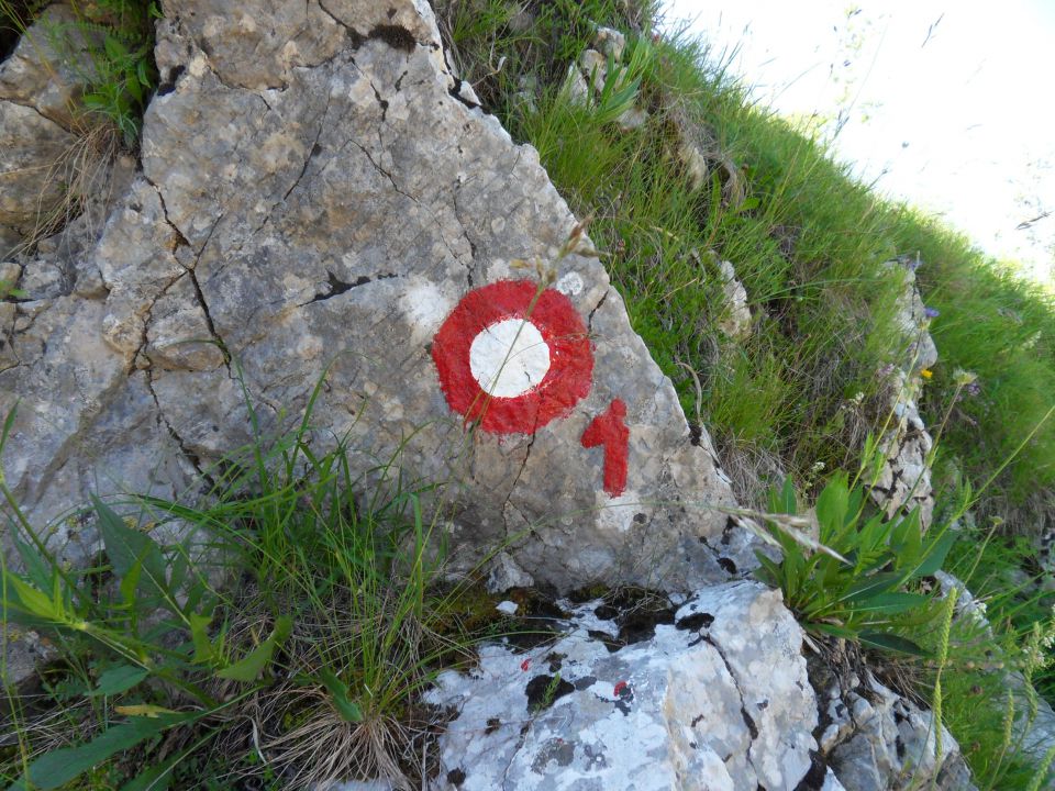 21. 6. 2011 - foto povečava