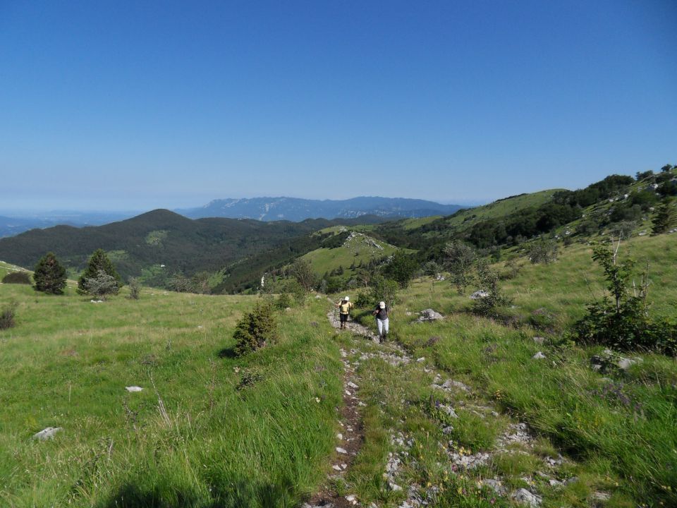 21. 6. 2011 - foto povečava